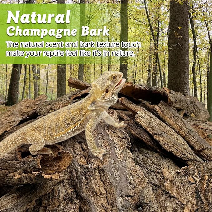 Reptile Cork Bark Bulk 1 Lb Reptile Bark Bedding Natural Flat Cork Wood Pieces Terrarium Substrate Tank Supplies for Bearded Dragon Snake Spiders Hermit Crabs Geckos Tortoise
