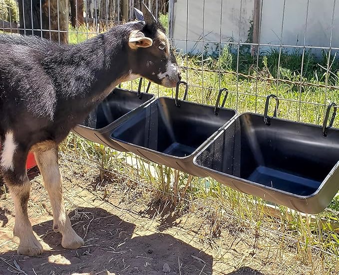 mozoba Hanging Chicken Feeder Trough for Goat Sheep Deer Poultry Duck Chicken Fence Feeder Livestock Feeding Container Goats Supplies Feeders Waterer Bucket (Matte Black)
