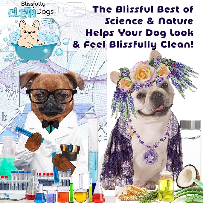 The Blissful Dog Shine-On + Sheen Coat Dog Spray, Easy-to-Use Conditioner, Sensitive Skin-Friendly Leave-in Conditioner, Detangler Spray, 8 oz.