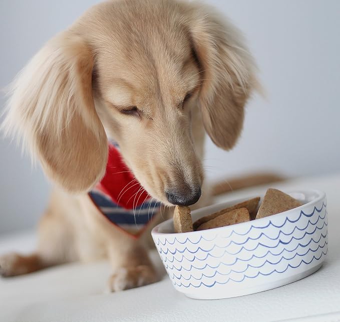 Waggo Ceramic Dog Bowl – Blue & White Wave Pattern Pet Food & Water Bowl – Durable, Dishwasher Safe Modern Dog Dish (Large)