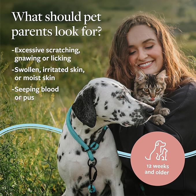 Veterinary Formula Clinical Care Hot Spot & Itch Relief Medicated Shampoo for Dogs and Cats 16oz – Helps Alleviate Sensitive Skin, Scratching, and Licking of Coat