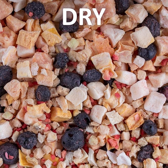 Healthy Herp Fruit Mix Instant Meal Reptile Food - Bearded Dragon Accessories & Bearded Dragon Food - Nutritious Blend for Bearded Dragons, Box Turtles, Tortoises, Hermit Crabs - 3.5 oz (99g)