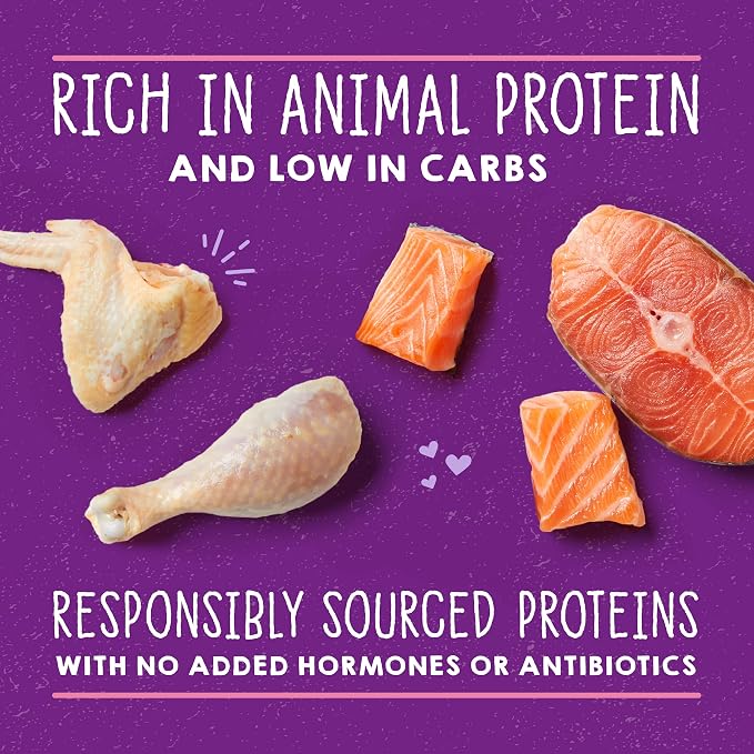 Stella & Chewy’s Carnivore Cravings Savory Shreds Cans – Grain Free, Protein Rich Wet Cat Food – Cage-Free Chicken & Wild-Caught Salmon Recipe – (2.8 Ounce Cans, Case of 12)