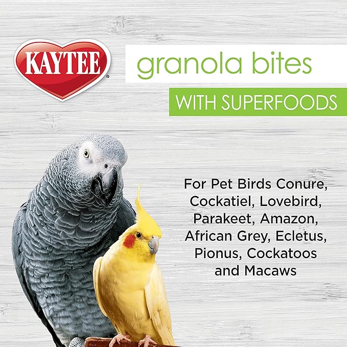 Kaytee Granola Bites with Super Foods Granola Bites and Flax for Pet Birds Conure, Cockatiel, Lovebird, Parakeet, Amazon, African Grey, Ecletus, Pionus, Cockatoos and Macaws, 4.50 Ounce (Pack of 1)