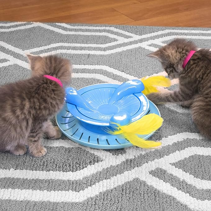 Kitty City Swat Track Cat Toy, 3 Toys in 1 Cat Toy, Cat Ball Track with Feathers