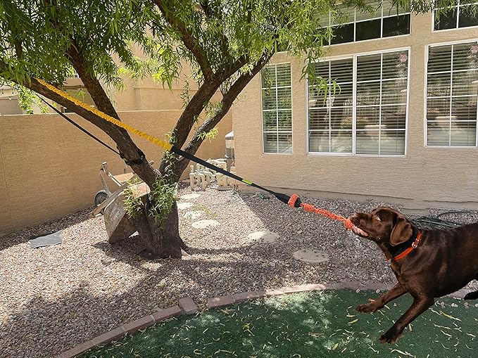 Dog Bungee Toy 20.35 ft Reinforced Interactive Rope with Two Replacement Refills - Dog Rope Toys Interactive Toys