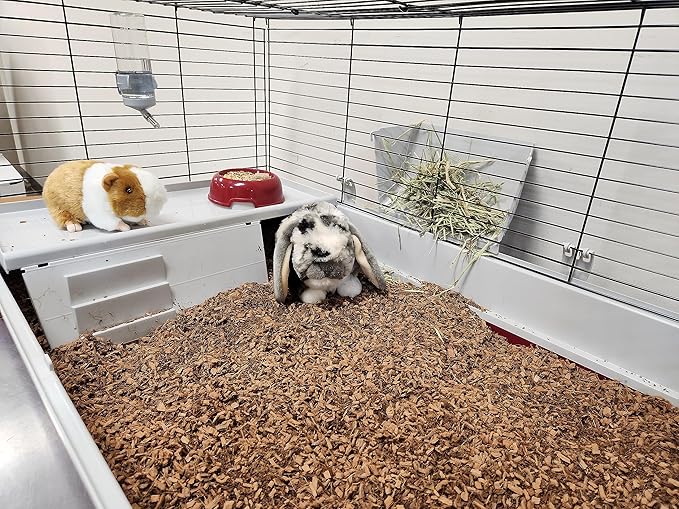 Coir Wonder Small Animal Bedding – 20 L –– Coco Chip Fiber Bedding Substrate for Guinea Pig, Hamster, Rabbit, Bunny Litter, Tortoise, Turtle, Reptile, Snake Habitat - Activated Charcoal Odor Control