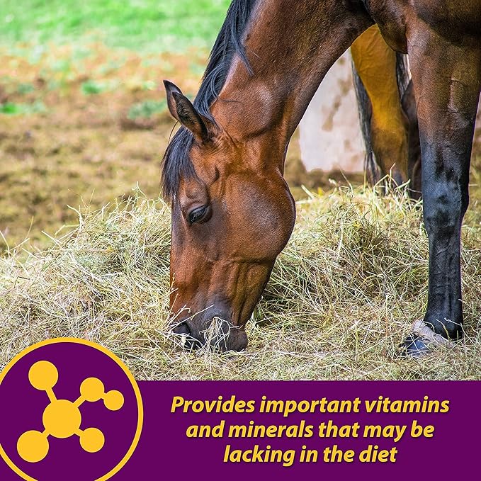 Farnam Horse Health Red Cell, Liquid Vitamin-Iron-Mineral Supplement for Horses, Helps Fill Important Nutritional Gaps in Horse's Diet, 1 Gallon, 128 Oz., 64-Day Supply