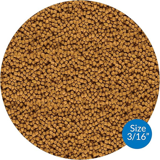 API POND FISH FOOD Pond Fish Food 11.5-Ounce Bag
