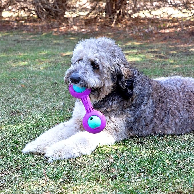Chew King Premium Treat Dog Toy, Durable Natural Rubber Collection, Fetch and Tug Dog Toy, Dog Treat Toys for Boredum