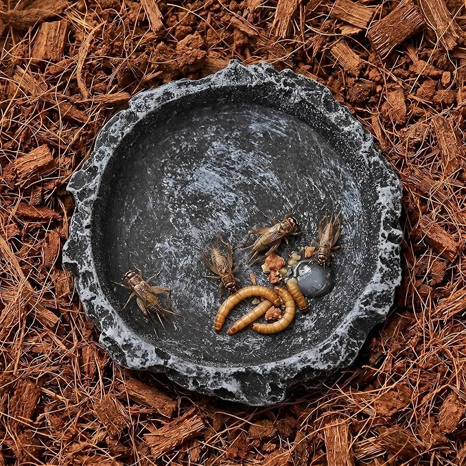 2 Pack Reptile Water and Food Bowls, Feeding Dish for Leopard Gecko, Lizard, Spider, Scorpion, Chameleon - Breadworm Feeding (2Pcs Round)