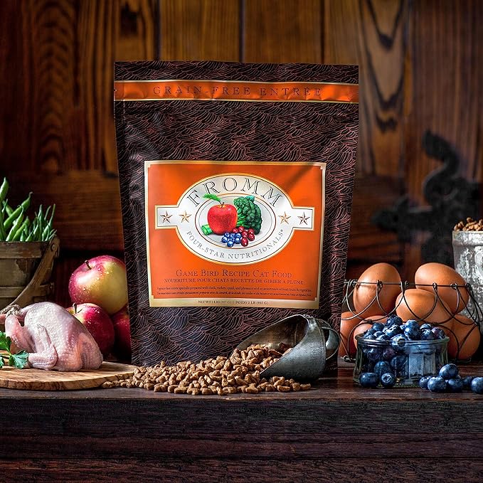 Fromm Four-Star Nutritionals Game Bird Cat food - Premium Dry Cat Food - Turkey Recipe - 10 lb