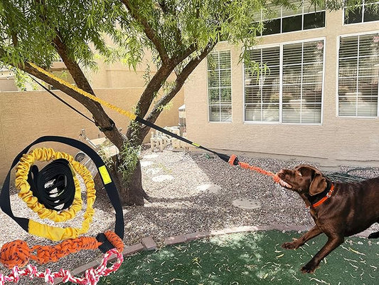 Dog Bungee Toy 20.35 ft Reinforced Interactive Rope with Two Replacement Refills - Dog Rope Toys Interactive Toys