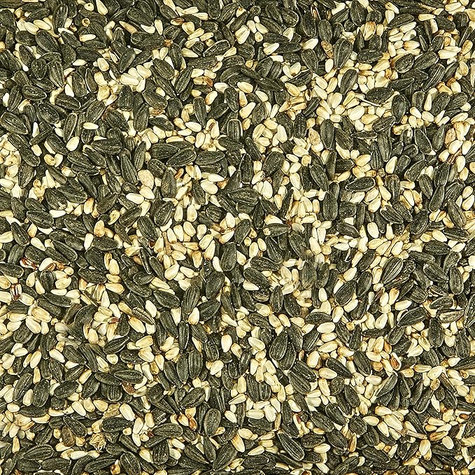 Kaytee Cardinal Wild Bird Seed, 7 Pound (Pack of 2)