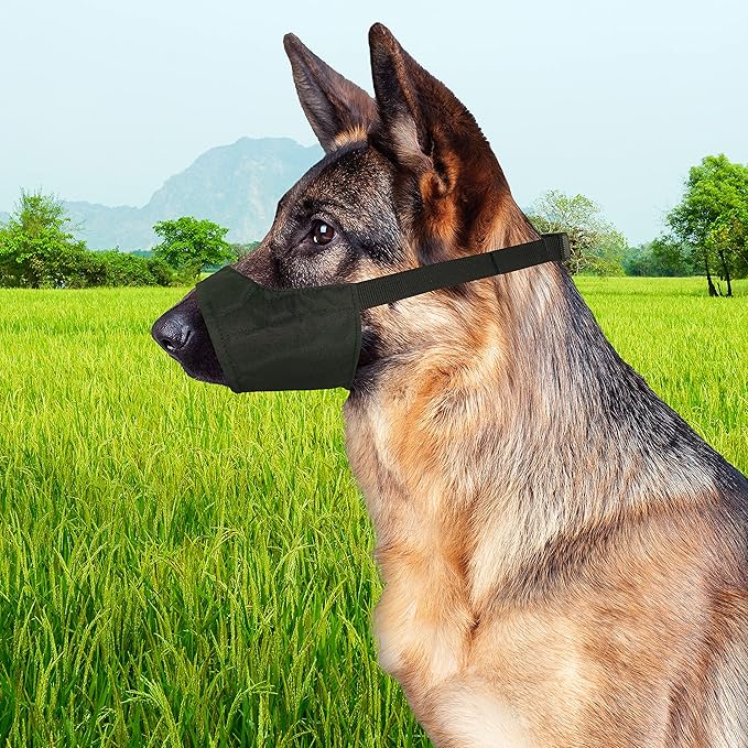 Four Paws Walk-About Quick-Fit Adjustable Dog Muzzle for Medium Dogs, Washable & Breathable, Black, 1 Count
