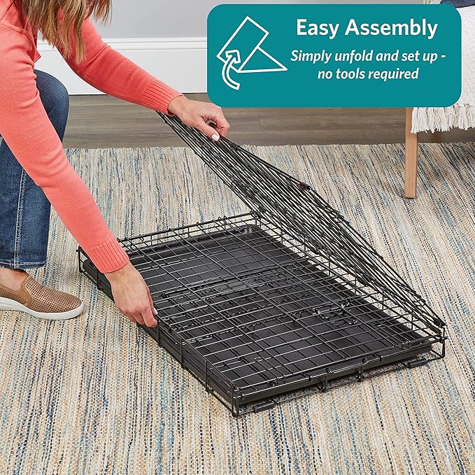 MidWest Homes for Pets 22-Inch iCrate for Extra-Small Breeds, Up to 15 lbs, Double Door Folding Dog Crate with Divider Panel, Leak-Proof Tray & Secure Latches, Portable, Durable & Easy to Assemble