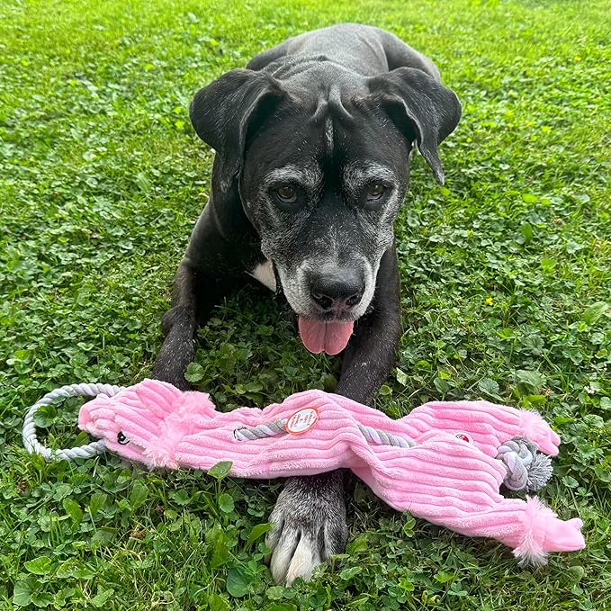 SPOT Skinneeez Barnyard Tug Dog Toy - Rope Design for Strong Chewers, Squeaker & Crinkle, Stuffing-Free, Tug Toy for Medium to Large Dogs & Puppies -23 inch, Style Varies